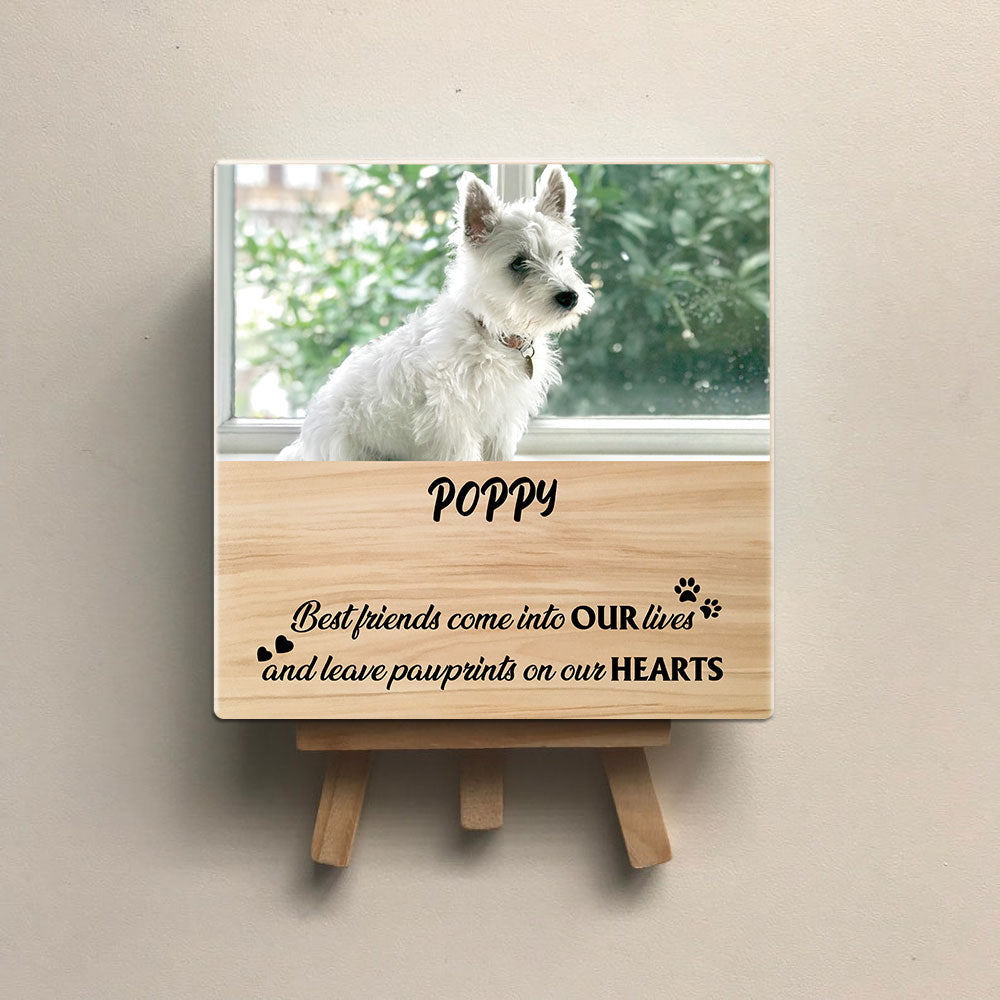 Personalized Pet Memorial Square Stone Album-Dog Cat Loss Gifts-Pet Bereavement Gift-Your Wings Were Ready - Jonxifon