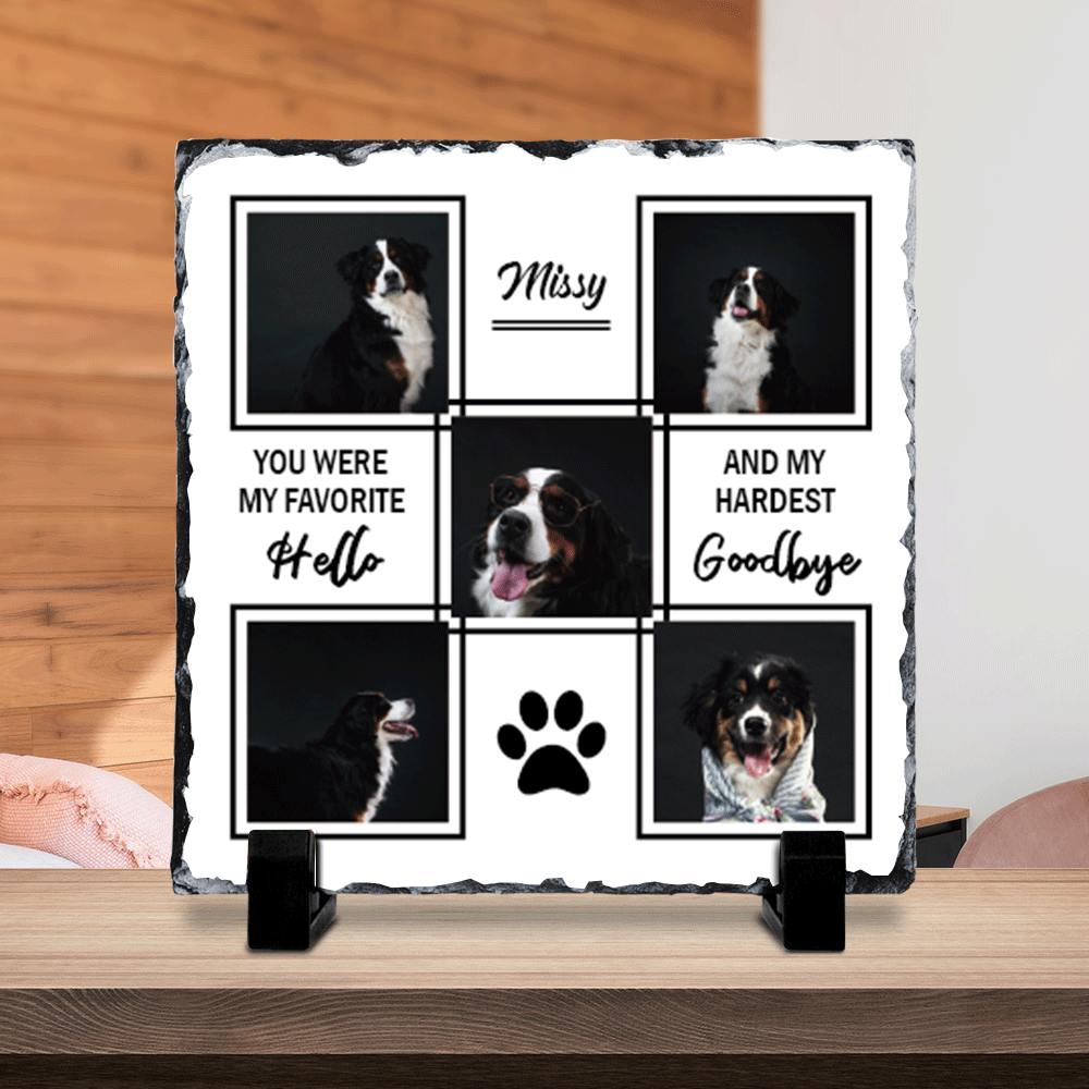 You Were My Favorite Hello Pet Memorial Slate Photo - Dog Cat Loss Gifts - Jonxifon