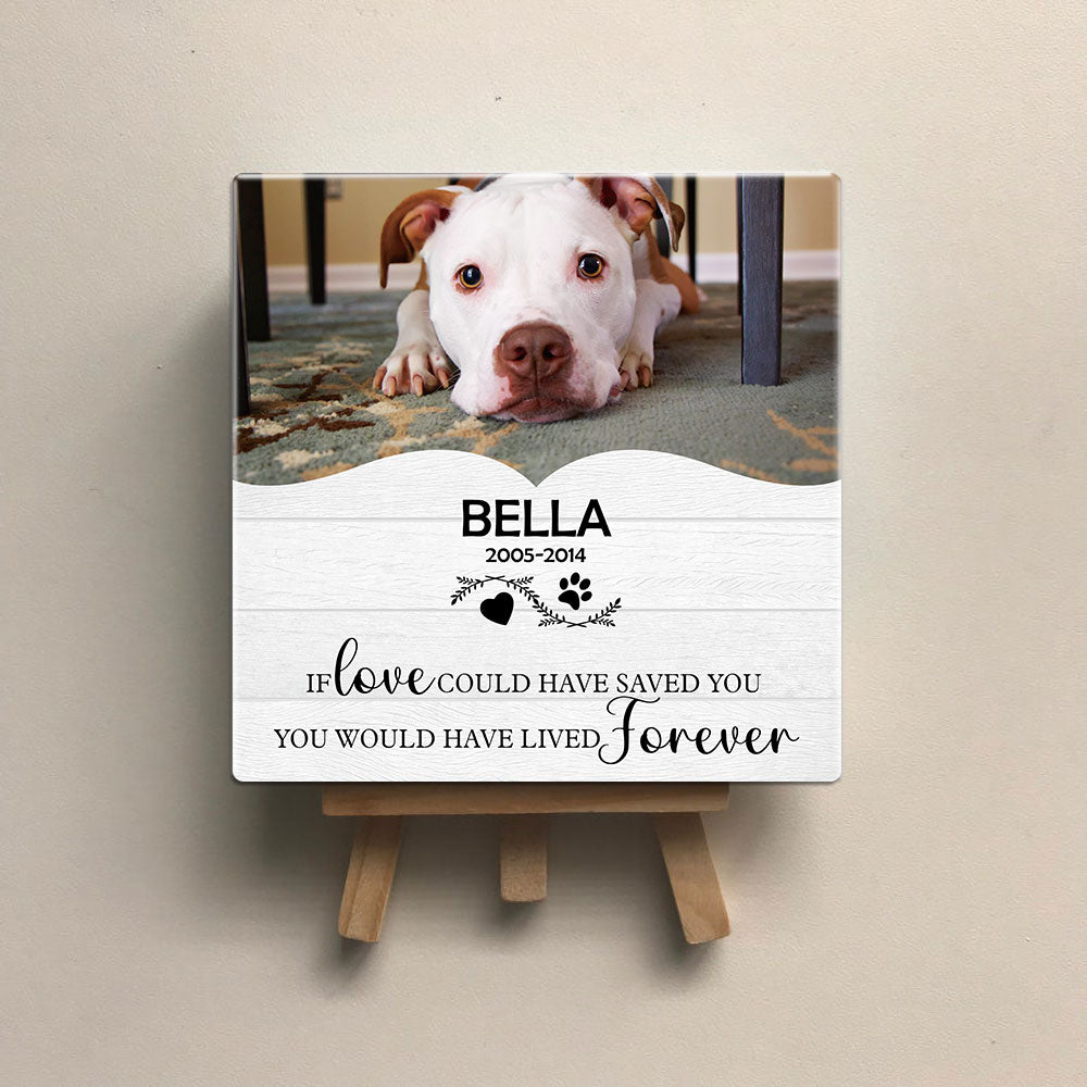 Personalized Pet Memorial Square Stone Album-Dog Cat Loss Gifts-Love Could Have Saved You - Jonxifon