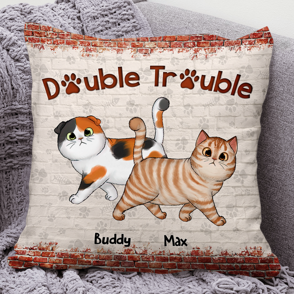 Personalized Double Trouble Cute Cat Pillow, Gift For Cat Lover CHI-YEN