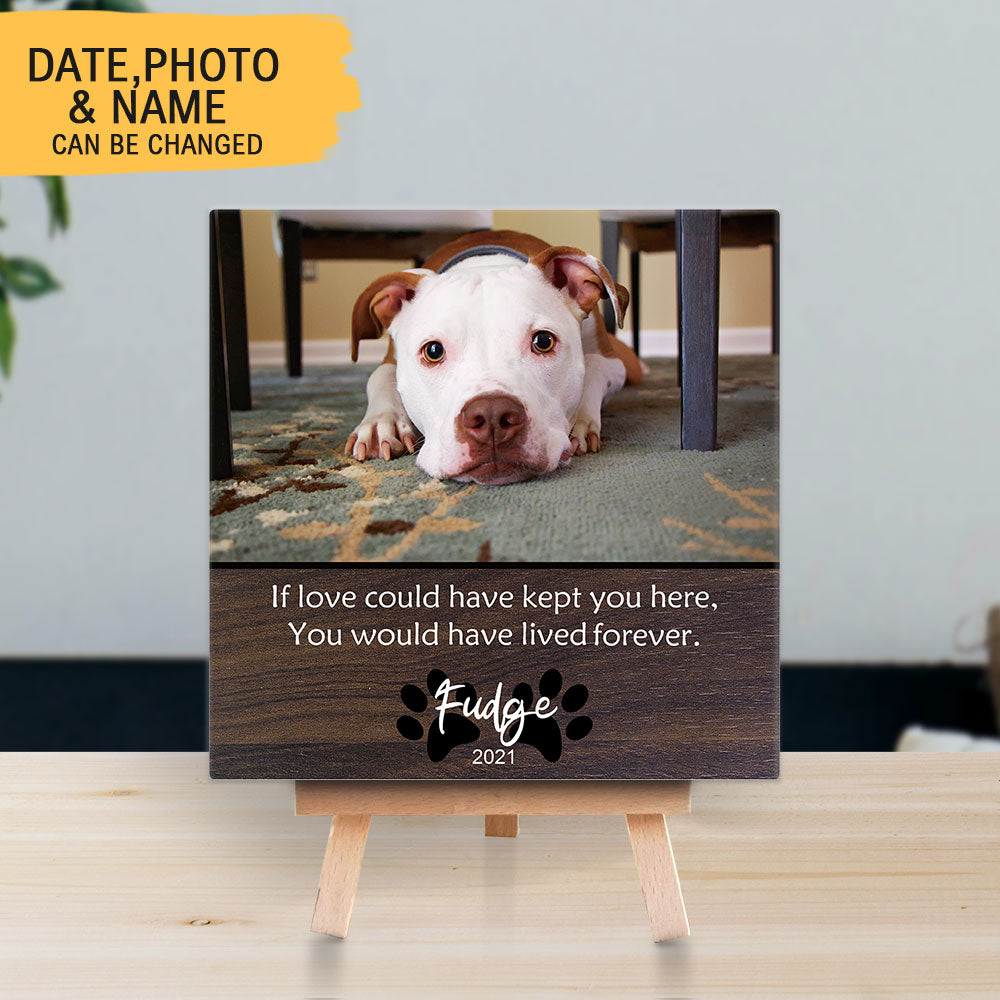 Personalized Pet Memorial Square Stone Album-Dog Cat Loss Gifts-Pet Bereavement Gift-DOG & CAT-You Would Have Lived - Jonxifon