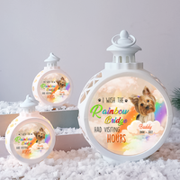 Thumbnail for I Wish The Rainbow Bridge Dog Cat LED Light Ornament, Memorial Gift