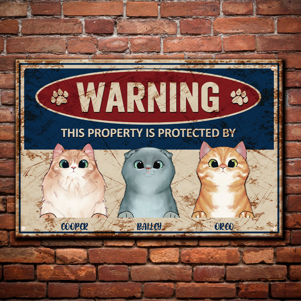 Warning- Funny Metal Sign For Cat Owner's Home - Jonxifon