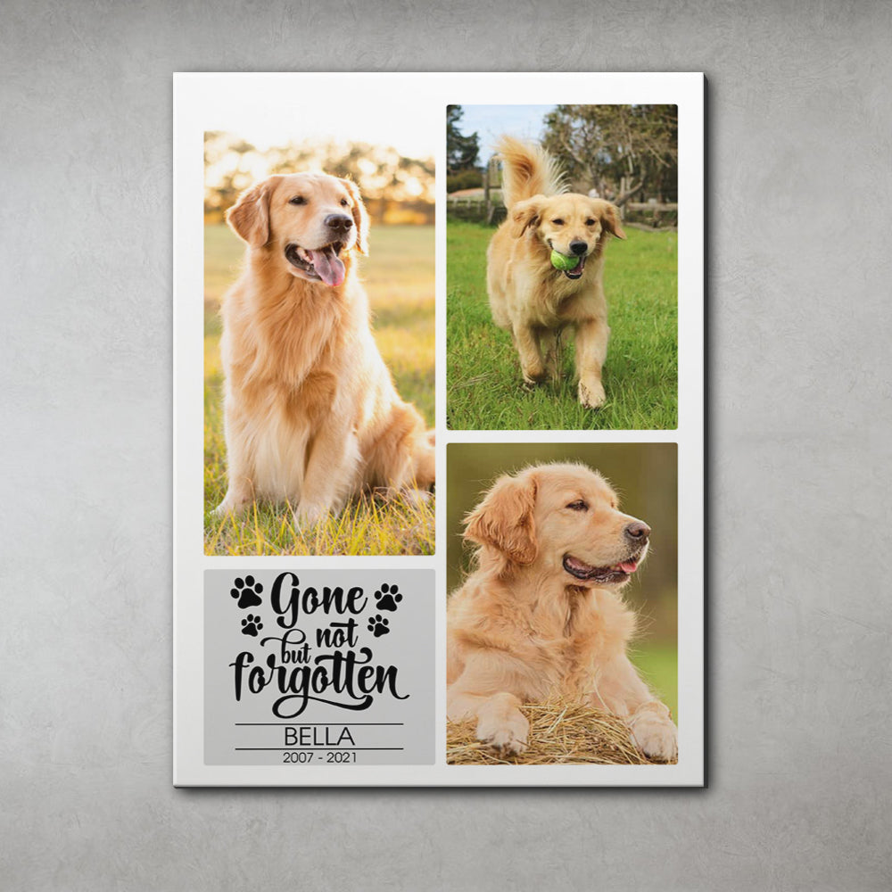 Gone But Not Forgotten - Personalized Pet Memorial Canvas