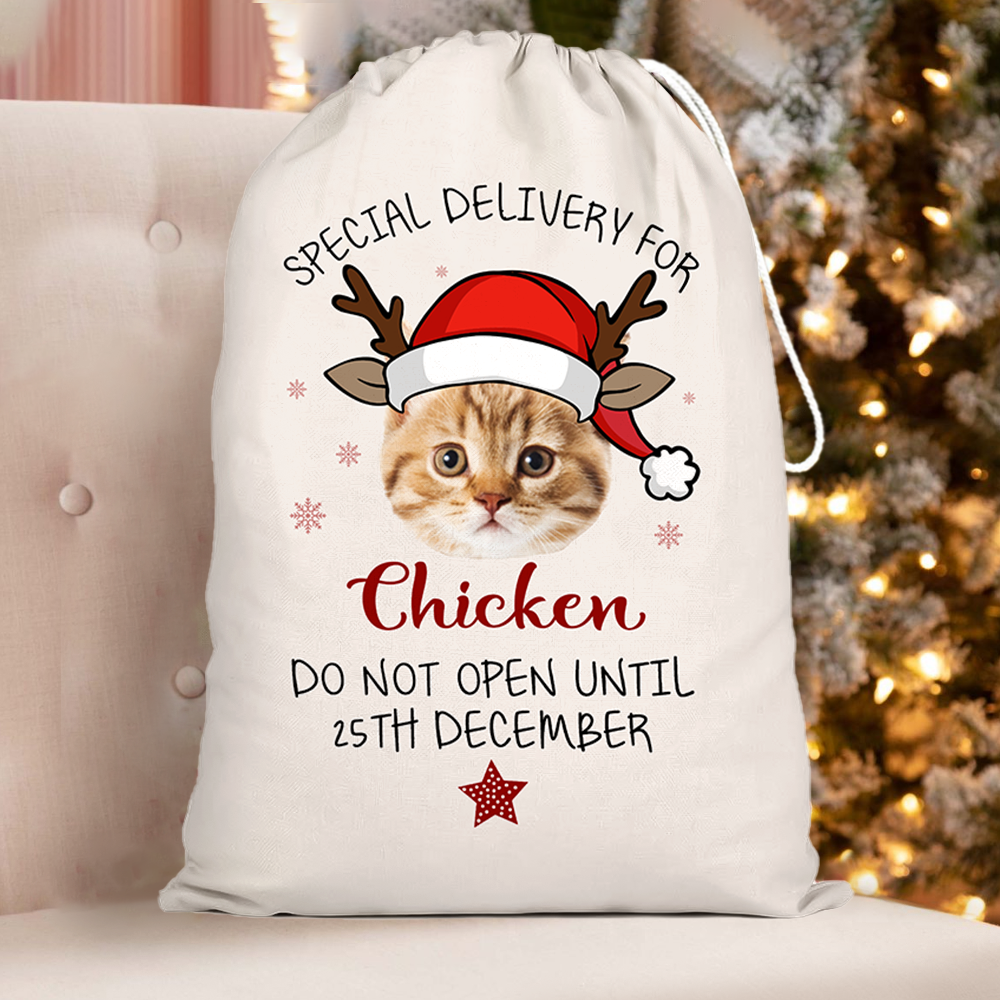 Custom Christmas Reindeer Photo Christmas Bag, Christmas Gift YHN-YEN