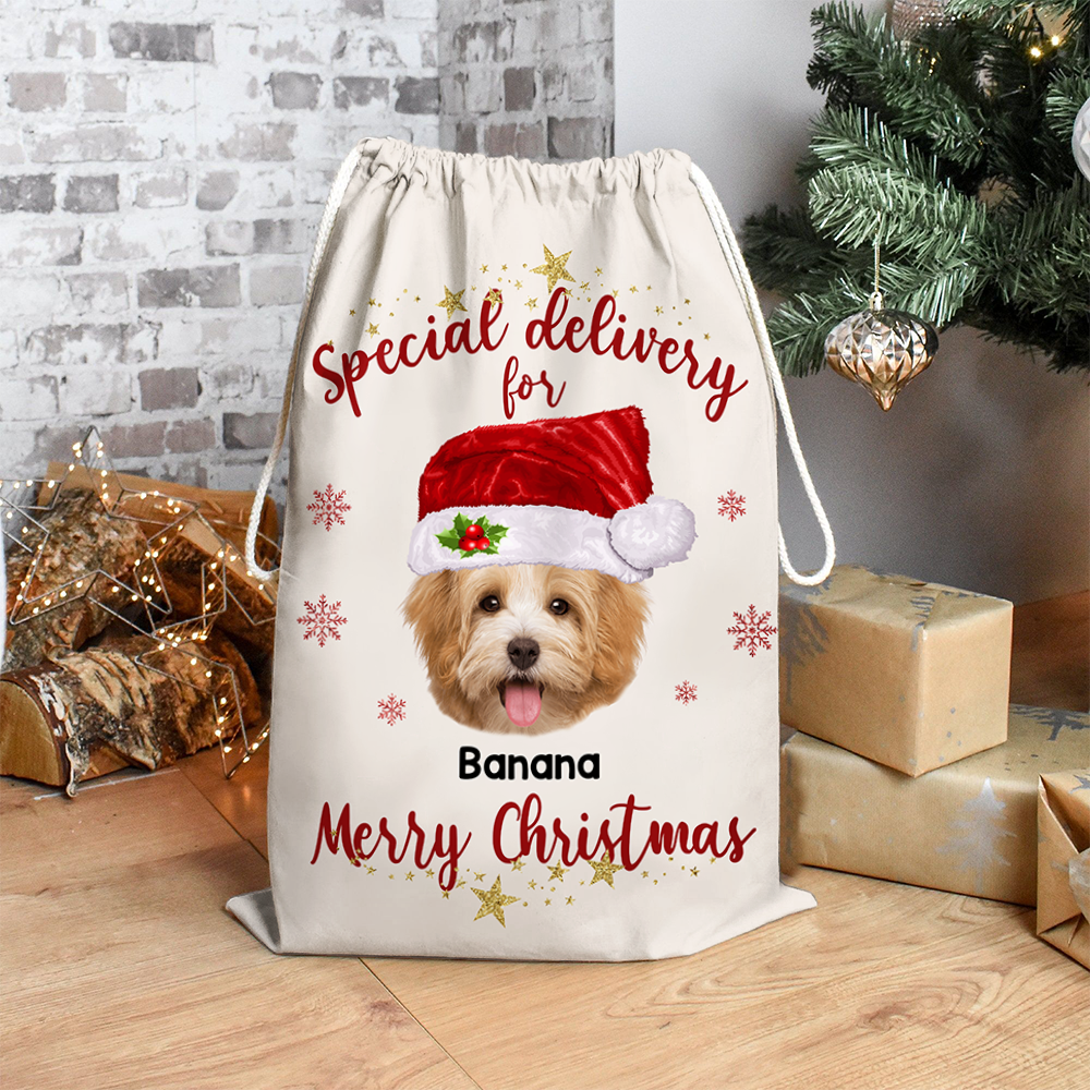 Personalized  Special Delivery Face Photo Family Christmas Bag, Christmas Gift Dung-Yen