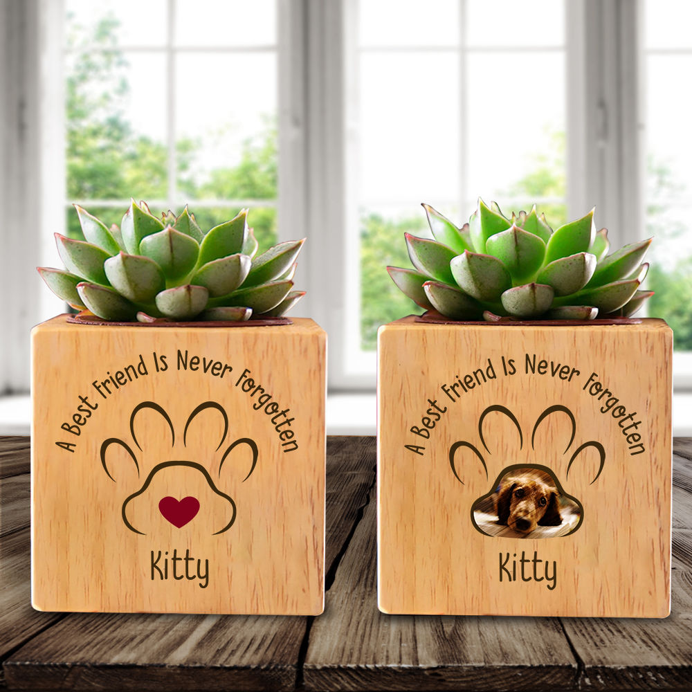 Custom A Best Friend Is Never Forgotten Photo Memorial Succulent Pots, Memorial Gift