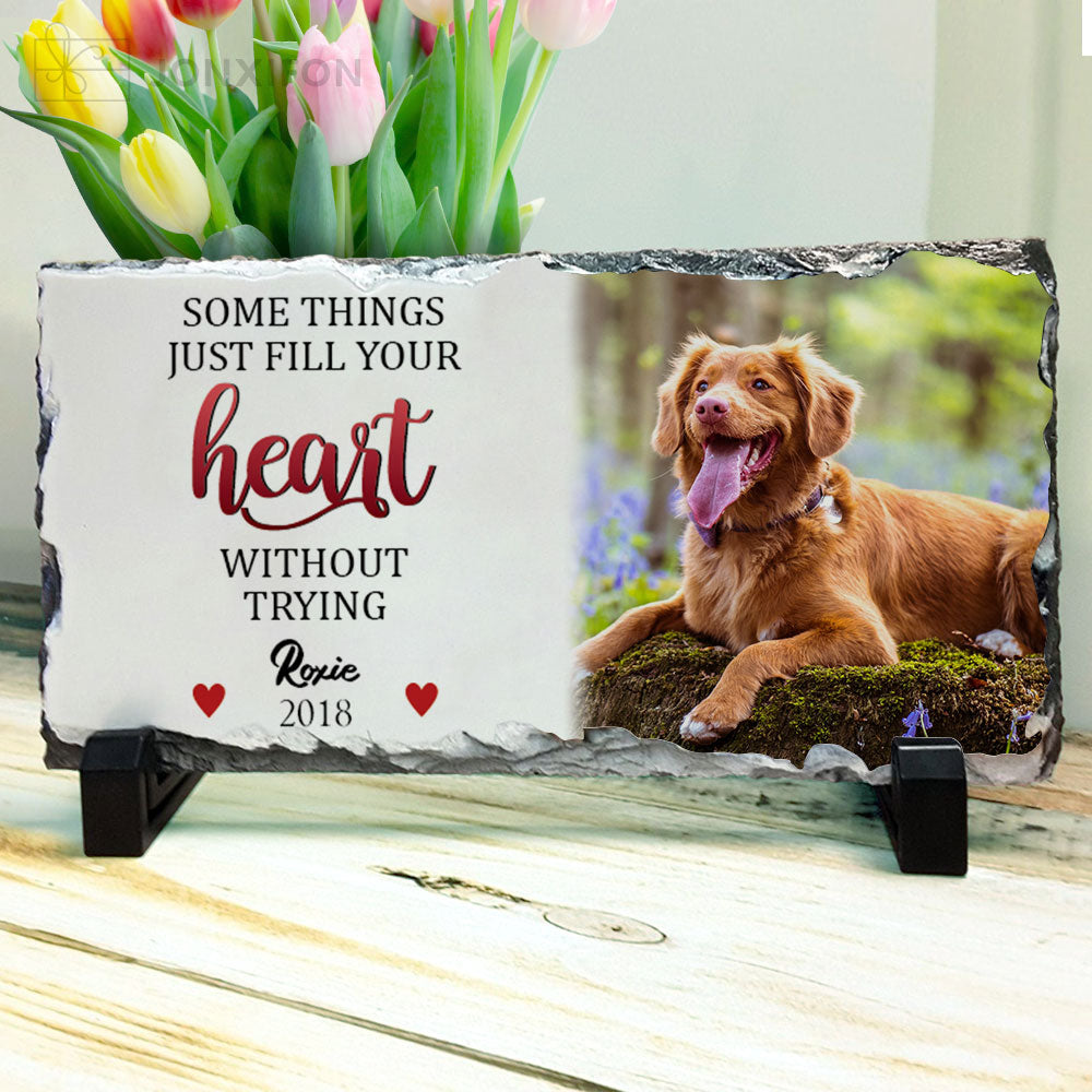 In Memory of Pet, Gift For Pet Loss - Pet Memorial Slate Photo - Jonxifon