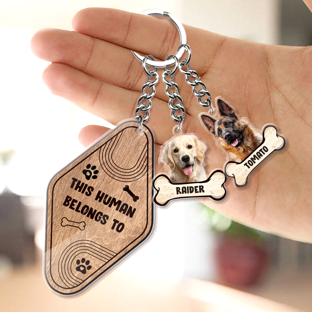 This Human Belongs To Dog Bone Acrylic Keychain, Dog Lover Gift YHN-DIEP