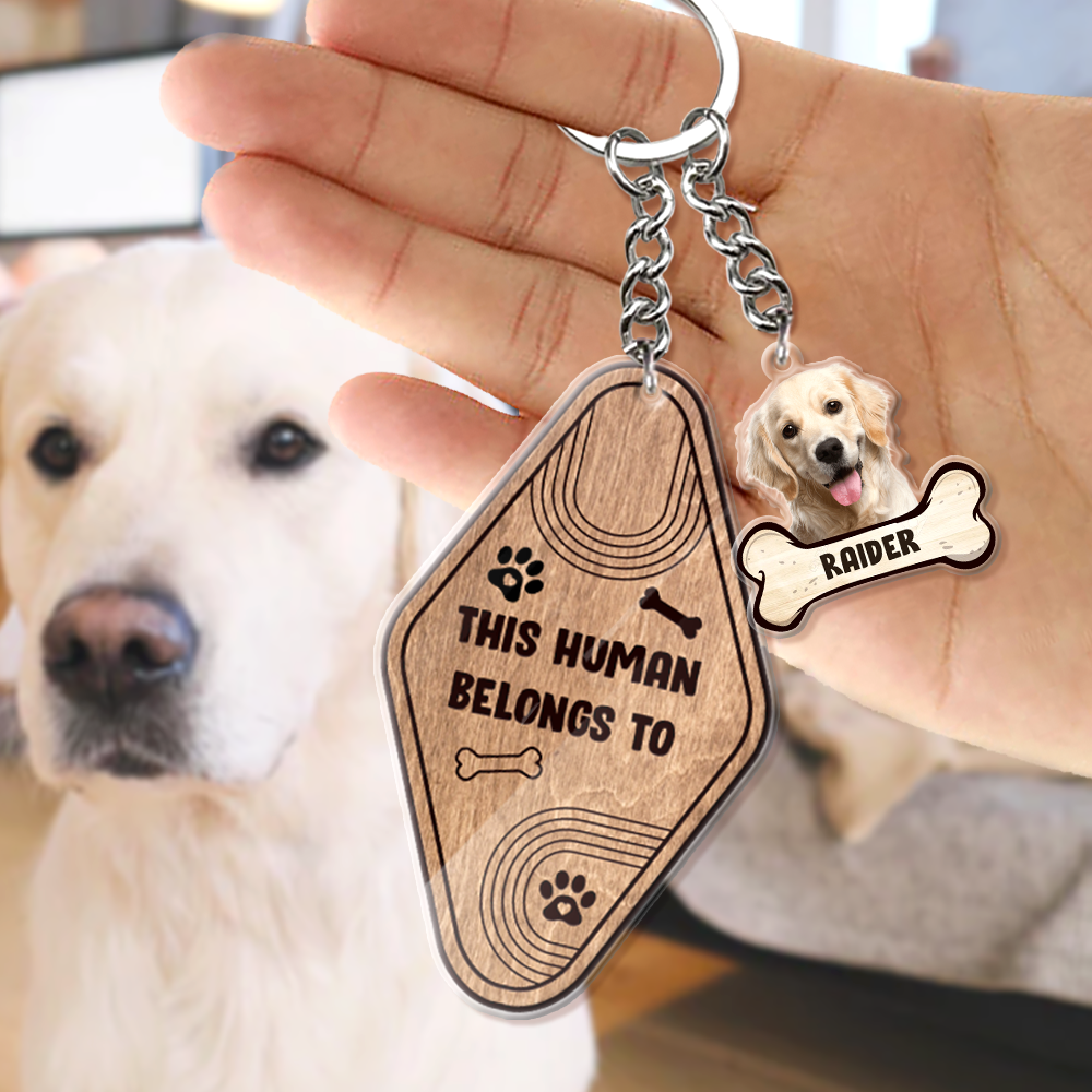 This Human Belongs To Dog Bone Acrylic Keychain, Dog Lover Gift YHN-DIEP