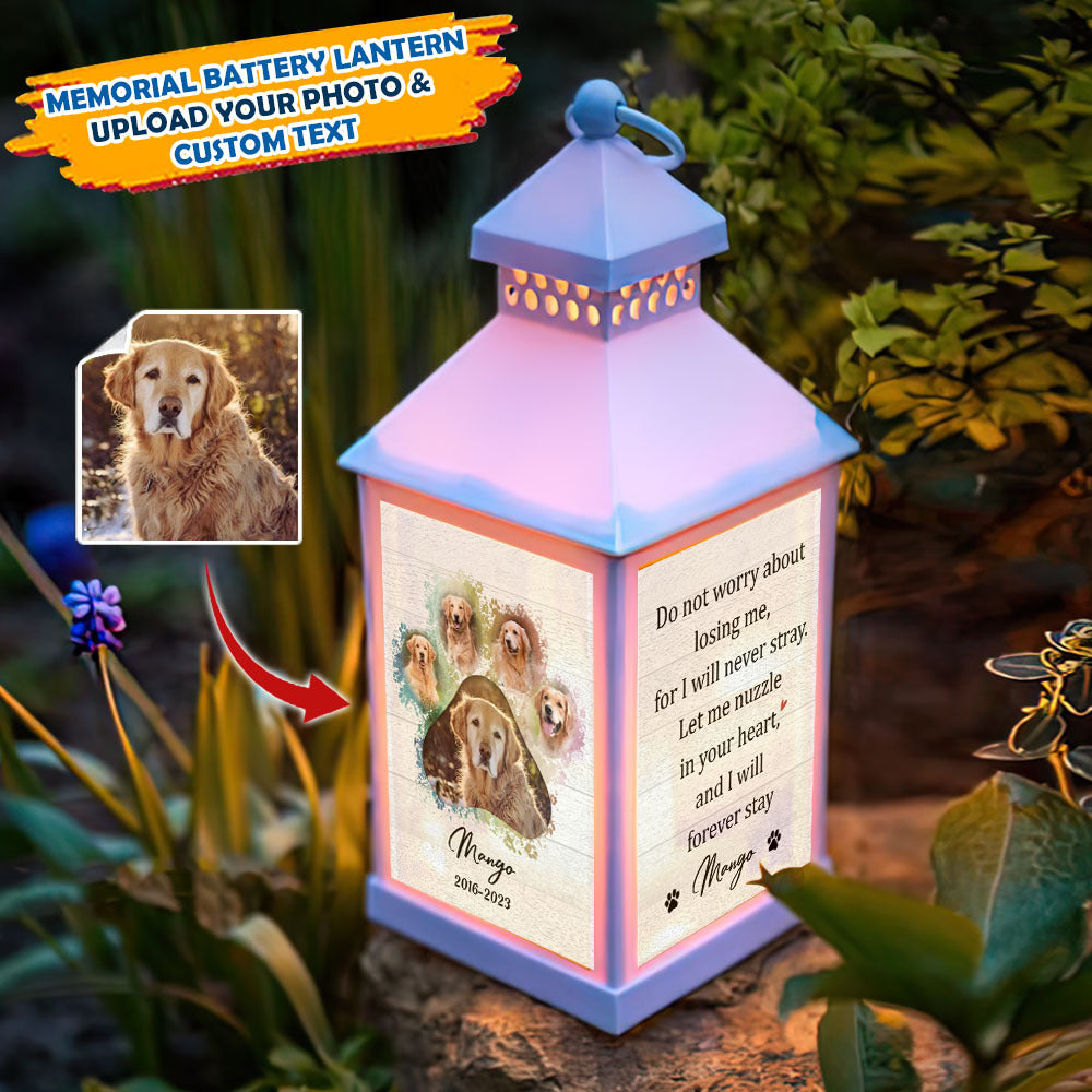 Custom Do Not Worry About Losing Me Paw Prints Photo Lantern II, Pet Memorial Gift