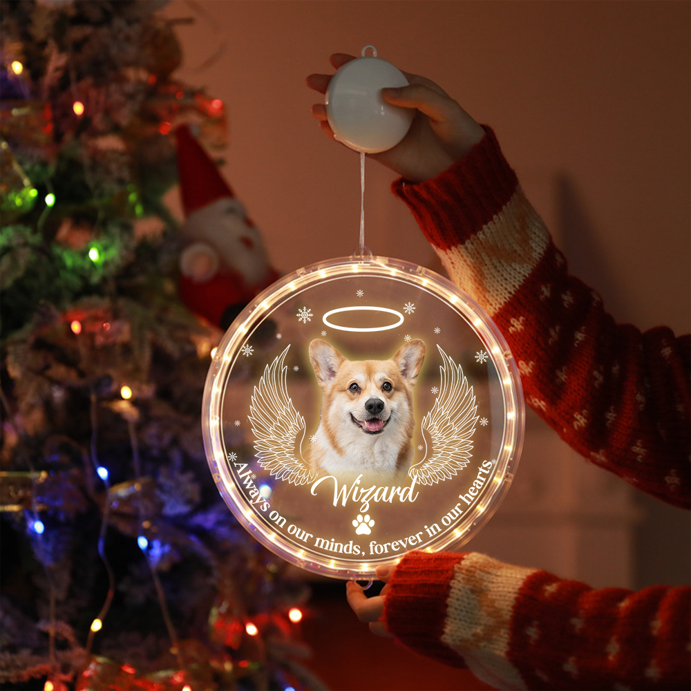 Personalized Led Acrylic Ornament - Memorial Gift For Pet Lovers - Pet Photo Paw Prints In Our Hearts