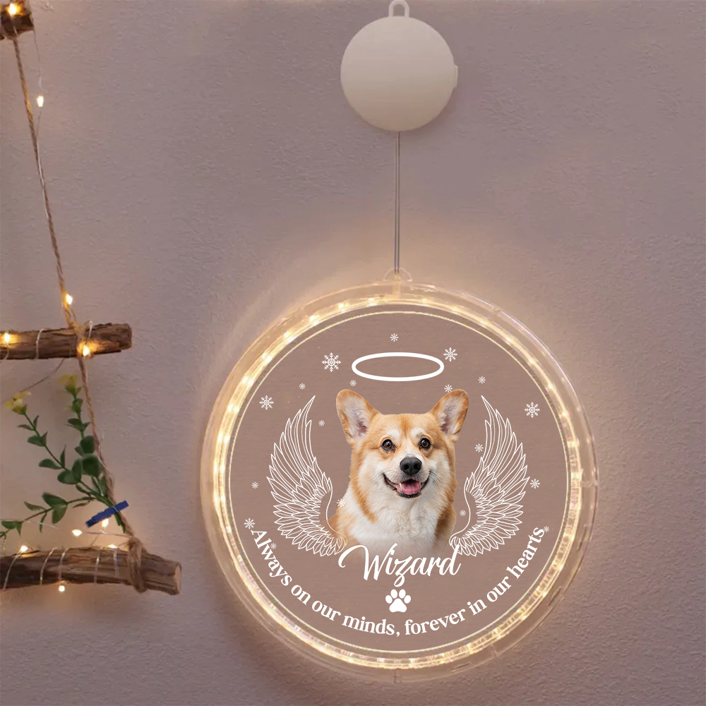 Personalized Led Acrylic Ornament - Memorial Gift For Pet Lovers - Pet Photo Paw Prints In Our Hearts