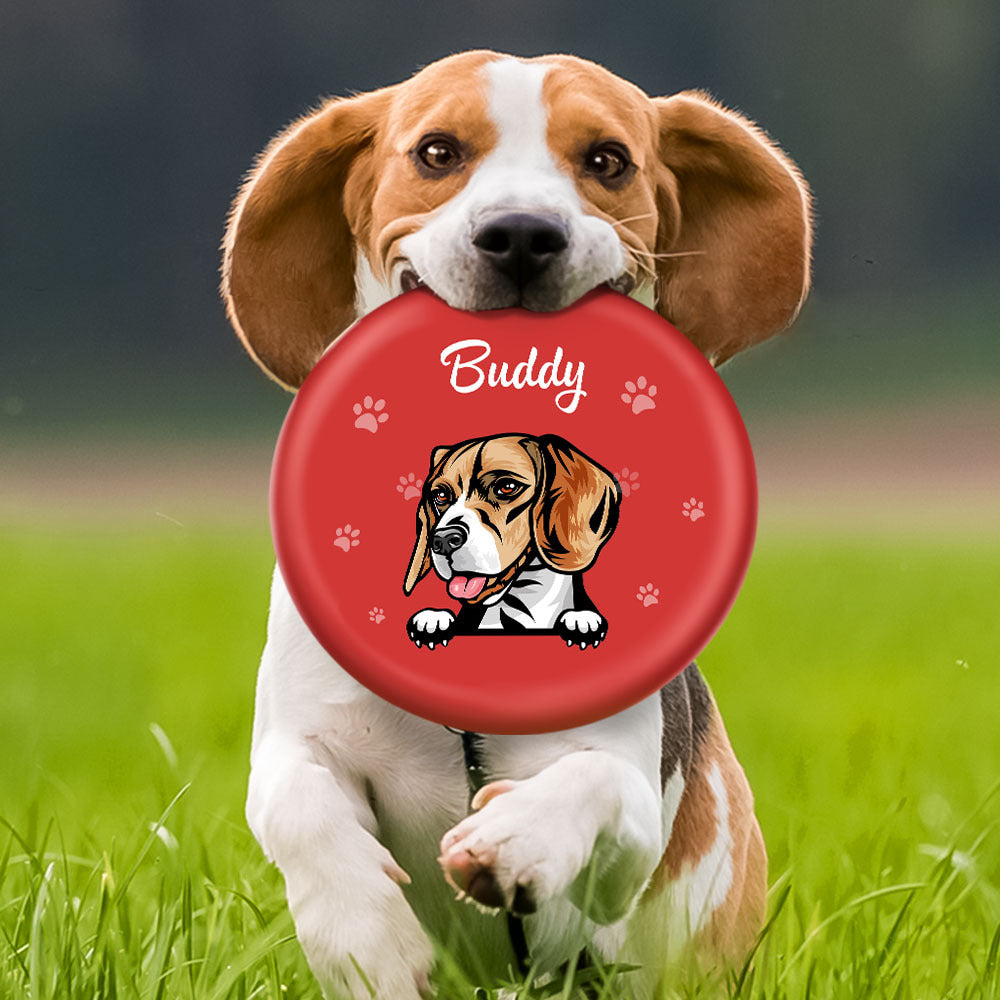 Custom Dog Cartoon Flying Disc, Gift For Dog Lover, Dog Frisbee