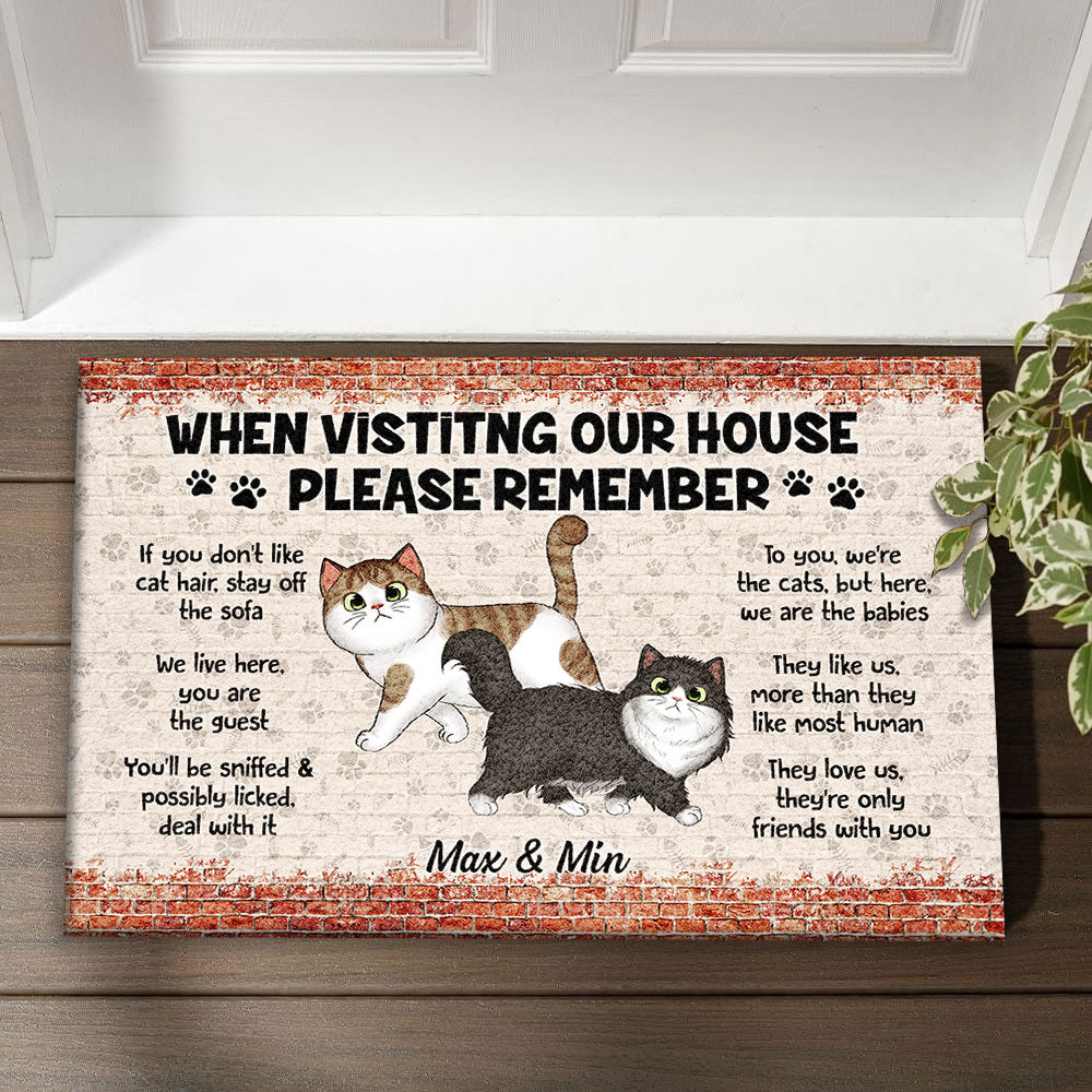 Personalized Cat When Visiting Our House Please Remember House Doormat AB