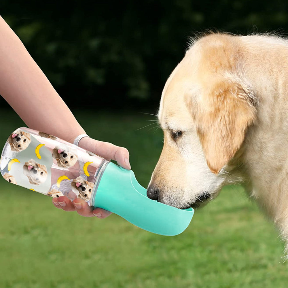 Portable Dog Water Bottle, Personalized Dogs Cats Picture Custom Photo Gift TrangYen