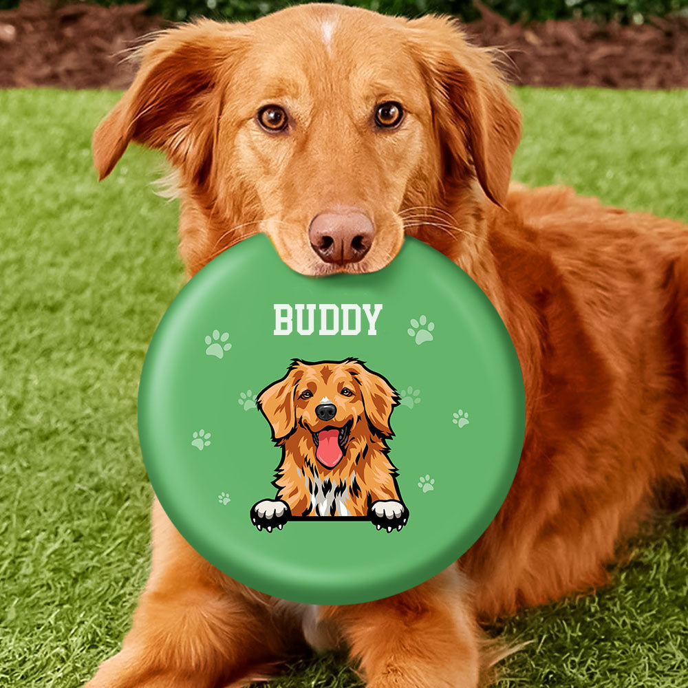 Custom Dog Cartoon Flying Disc, Gift For Dog Lover, Dog Frisbee