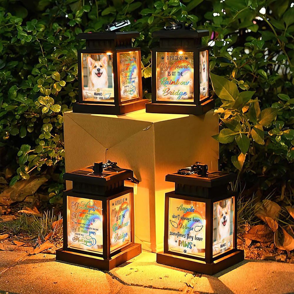 Personalized Solar Lantern - Christmas Gift For Pet Lover - Angels Dont Always Have Wings Memorial Photo