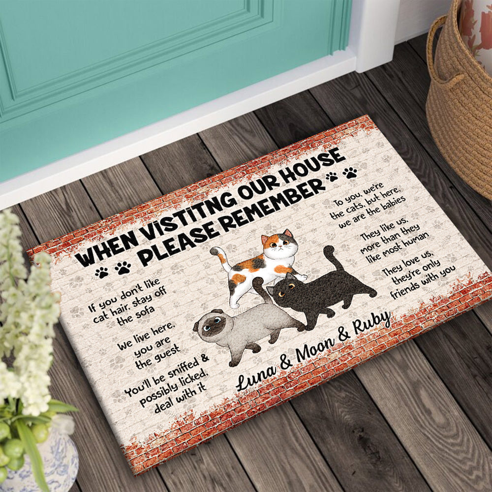 Personalized Cat When Visiting Our House Please Remember House Doormat AB