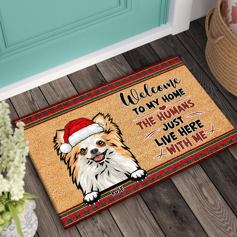 Personalized  Dog Cat Welcome To Our Home Christmas Doormat, House Decor Dung-Yen