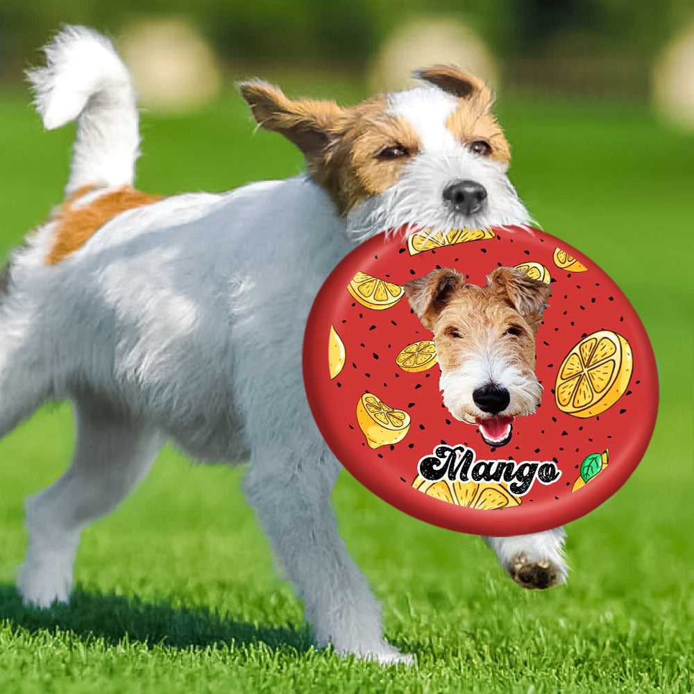 Custom Dog Face Cutout Photo Flying Disc, Gift For Dog Lover, Dog Frisbee