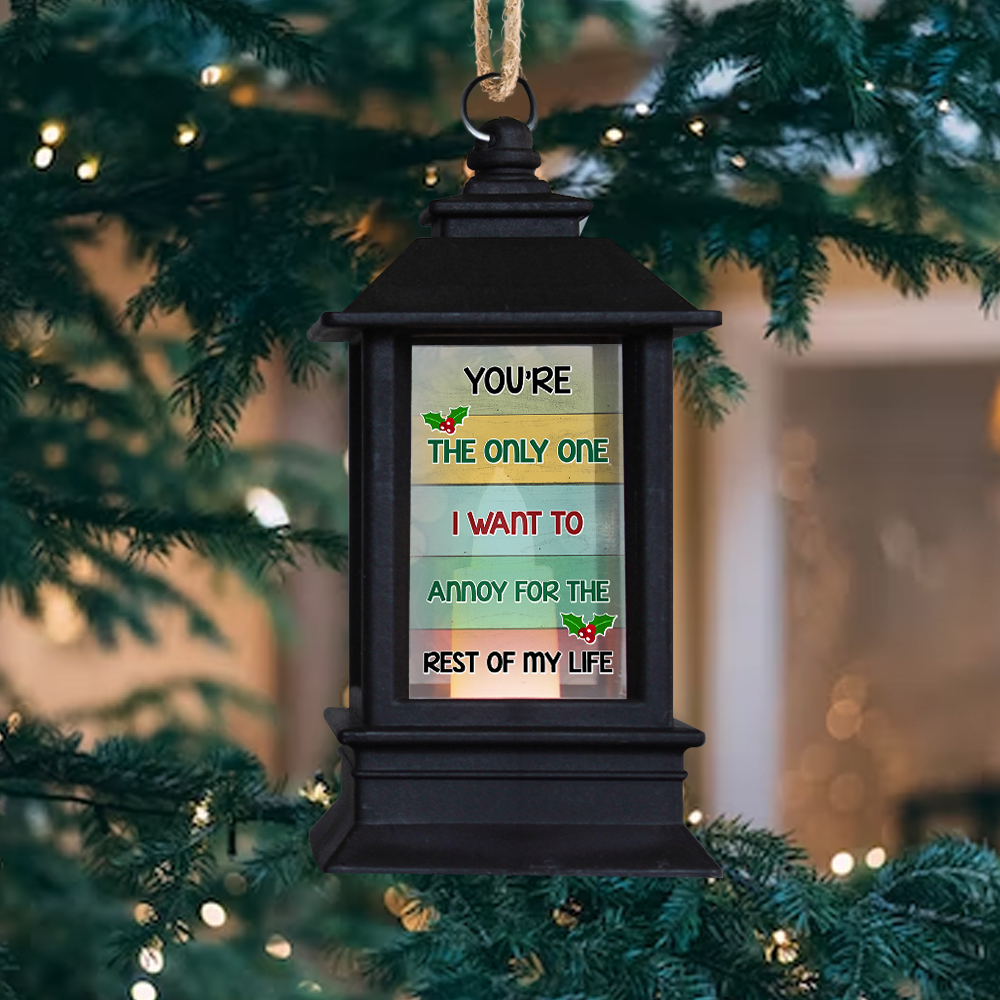 Personalized Annoy You For The Rest Of My Life Christmas Lantern, Love Gift For Couple CHI-YEN