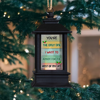 Thumbnail for Personalized Annoy You For The Rest Of My Life Christmas Lantern, Love Gift For Couple CHI-YEN